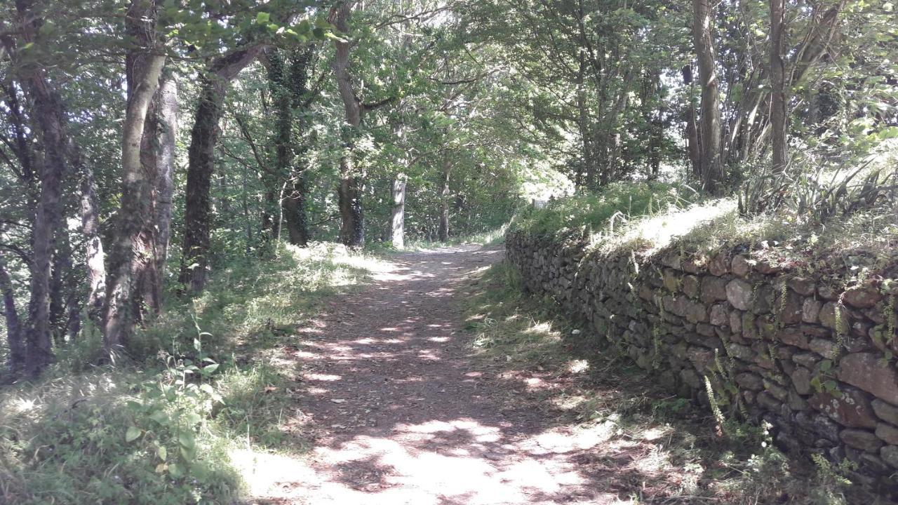 Notre-Dame-du-Guildo Au Guildo, Proche Gr34ヴィラ エクステリア 写真